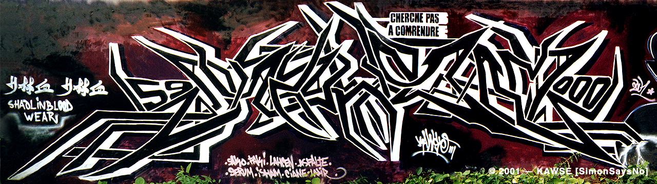 KAWSE 2001 — CHERCHE PAS A COMPRENDRE [Graffiti]
