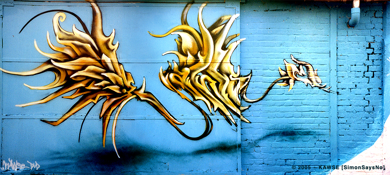 KAWSE 2005 — SHINING [Graffiti]